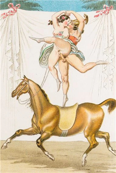 O circo do sexo